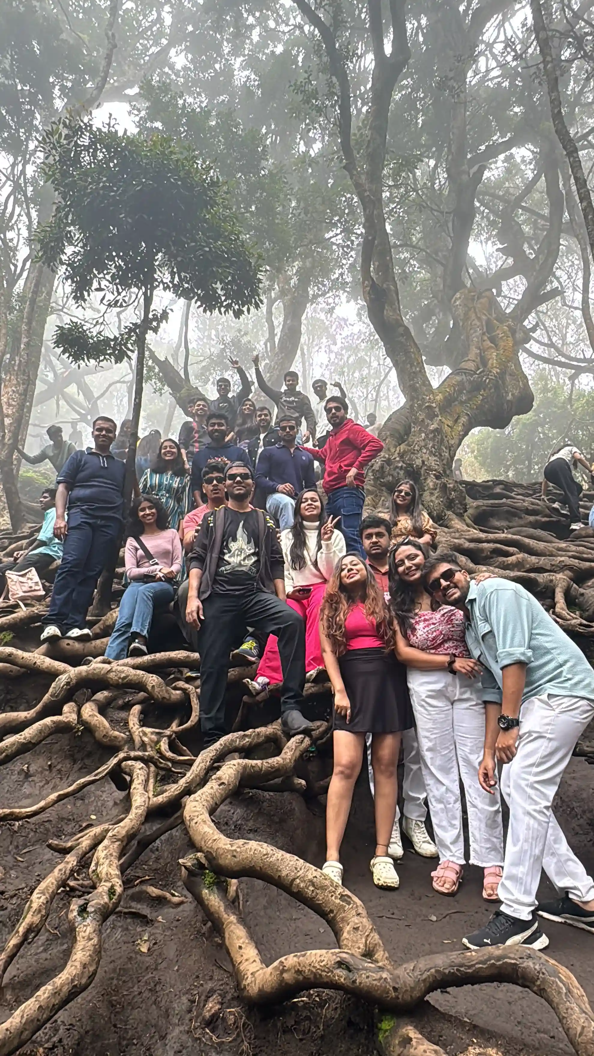Gallery image 4 for Kodaikanal 2 Days 1 Night Trip from Bangalore