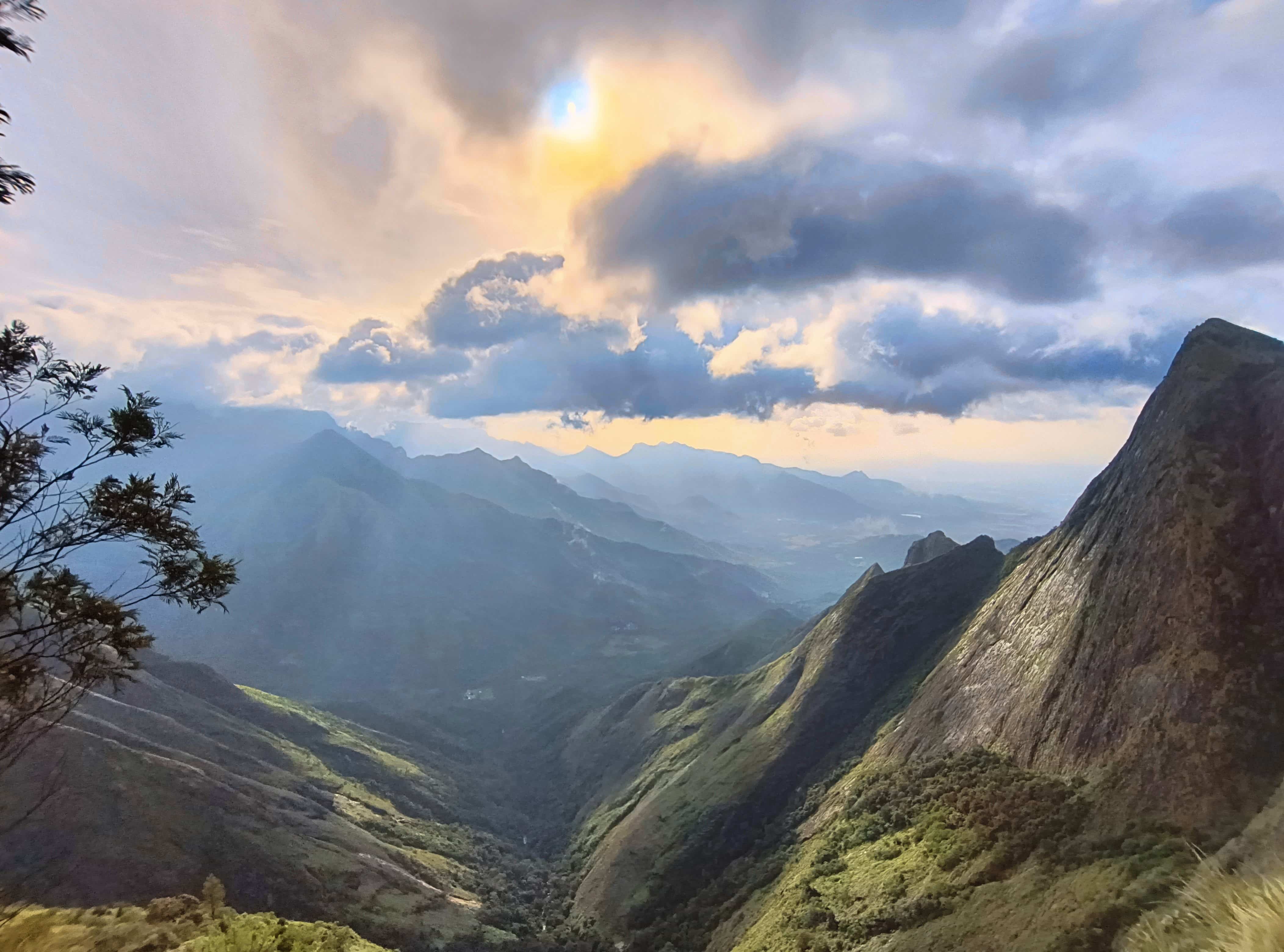 Munnar 2D 1N Tour - Image 1
