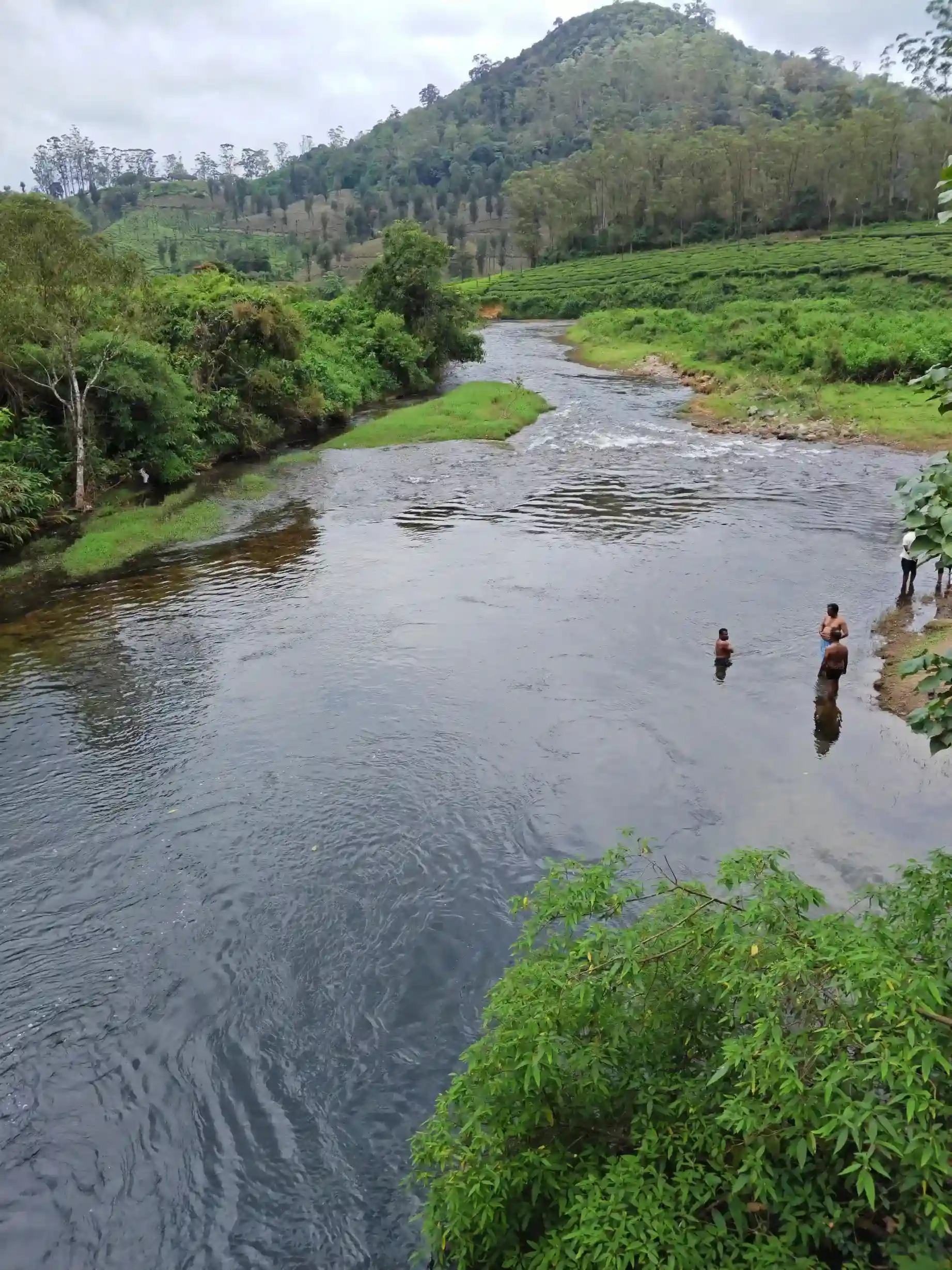 Gallery image 3 for Valparai 2 Days 1 Night Trip from Bangalore