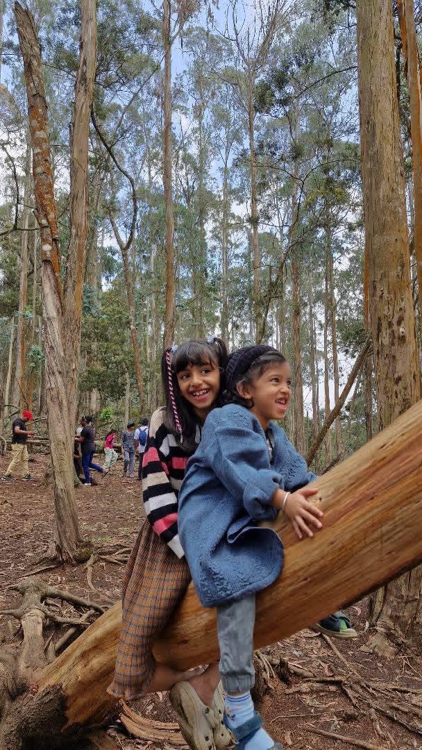 Kodaikanal 2 Days 1 Night Trip from Bangalore - Image 1
