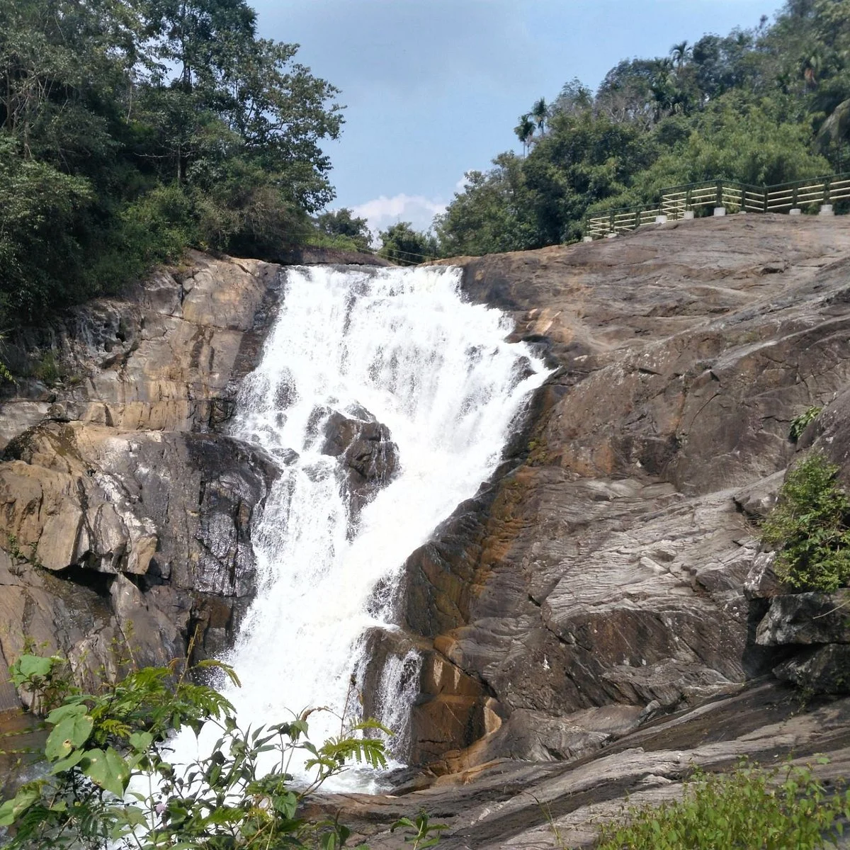 Gallery image 2 for Wayanad 3 Days 2 Nights Trip from Bangalore
