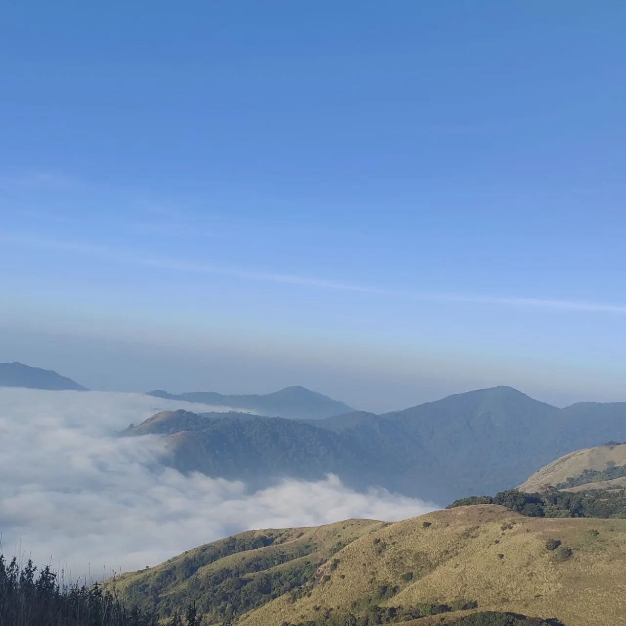 Gallery image 3 for Brahmagiri Peak Trekking (Wayanad, kerala)