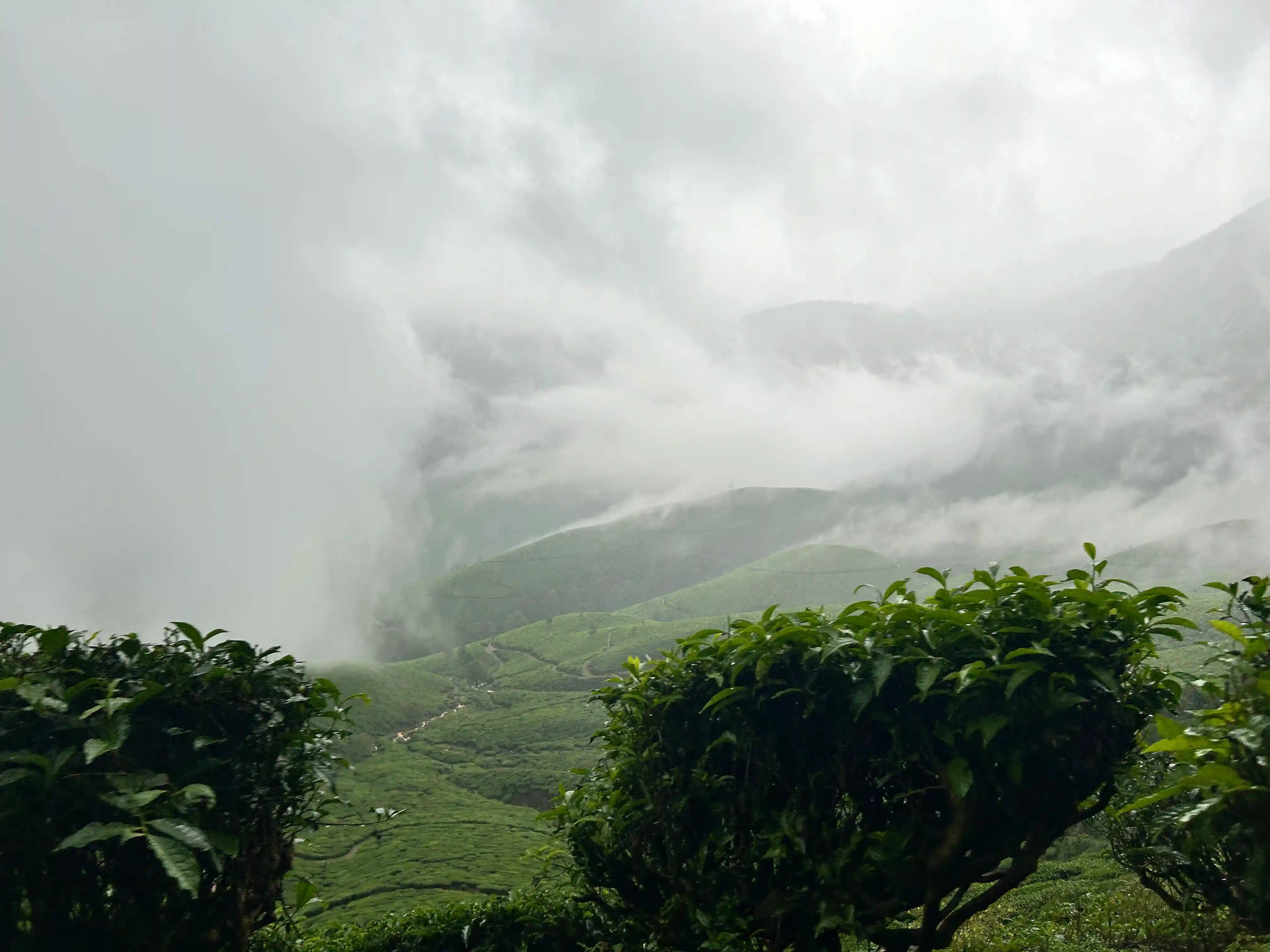 Gallery image 4 for Munnar 3 Days 2 Night Trip from Bangalore