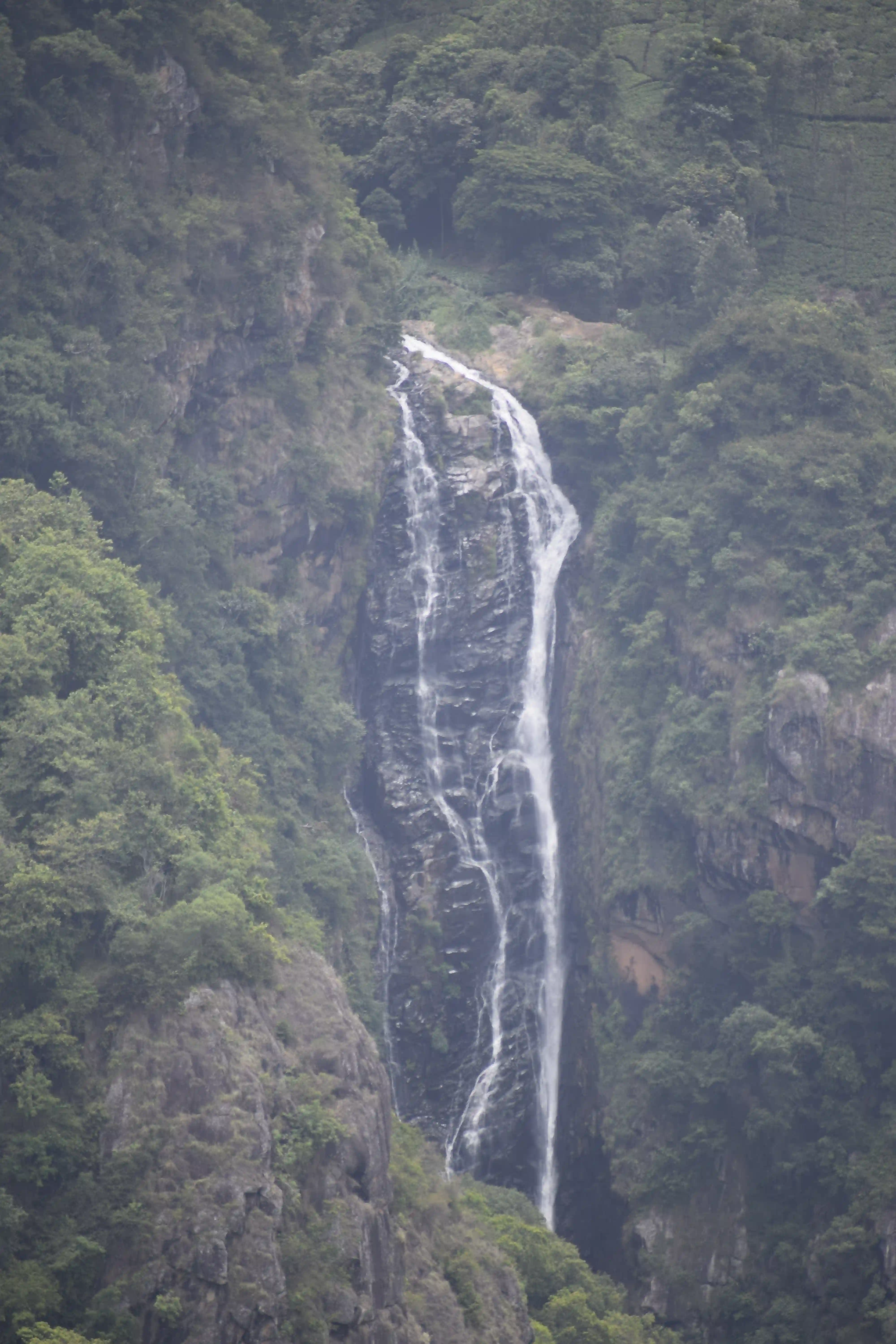 Gallery image 5 for Ooty – Coonoor 2 Days 1 Night Trip from Bangalore