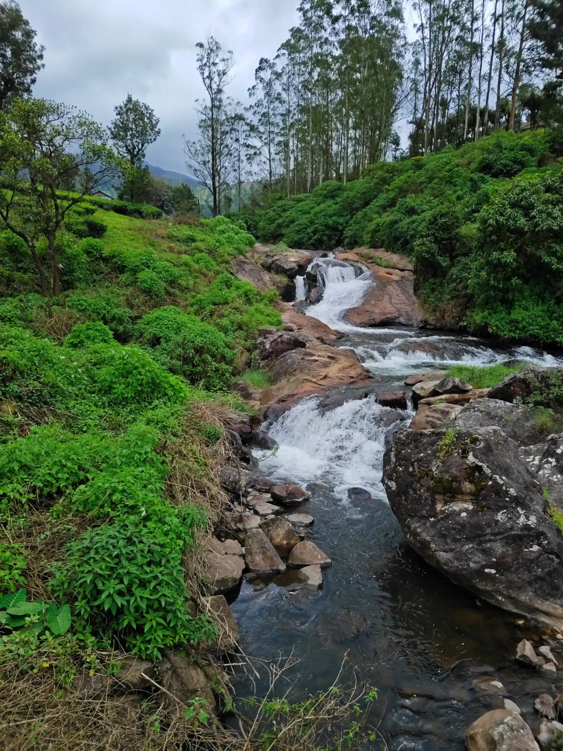 Gallery image 2 for Valparai 2 Days 1 Night Trip from Bangalore