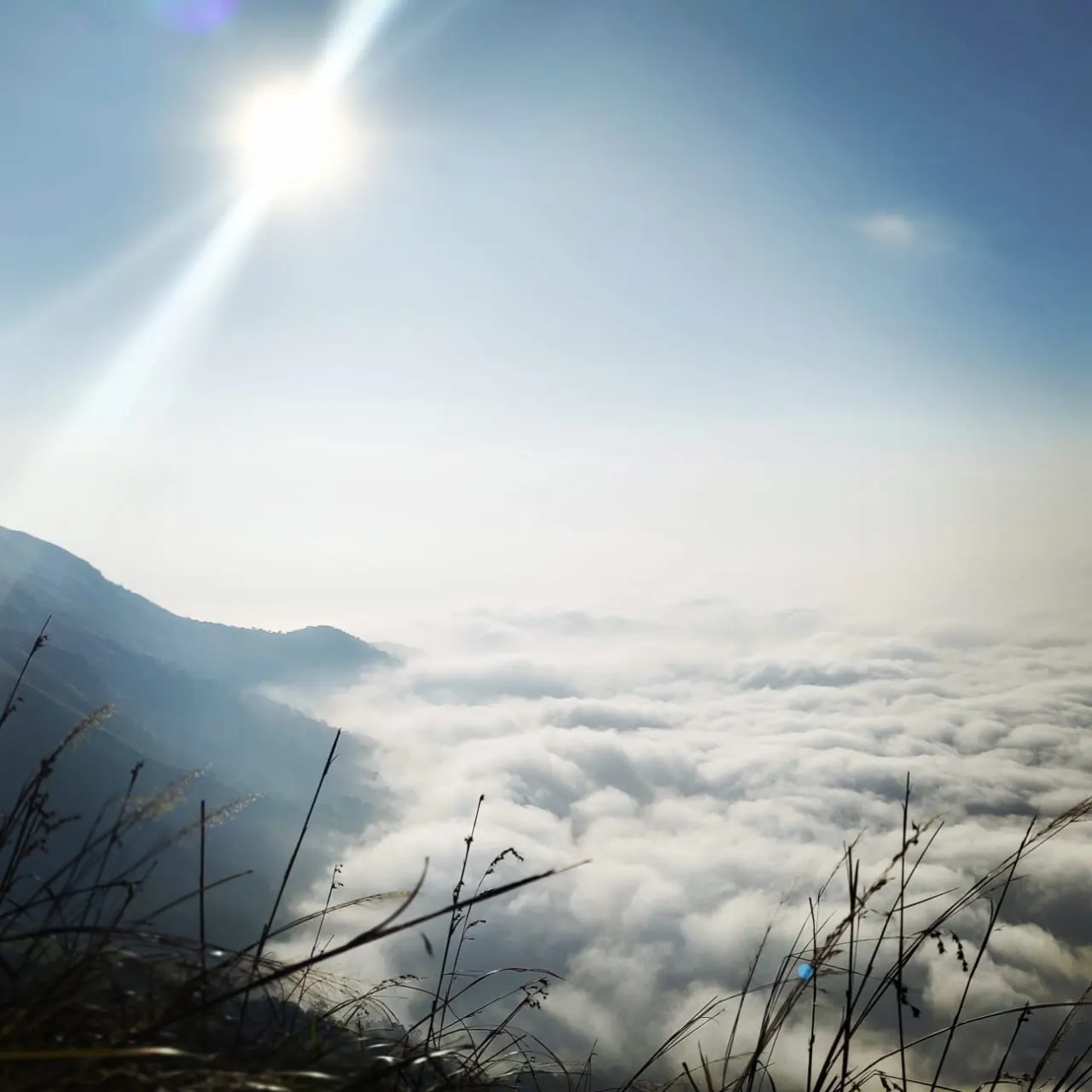 Gallery image 4 for Brahmagiri Peak Trekking (Wayanad, kerala)