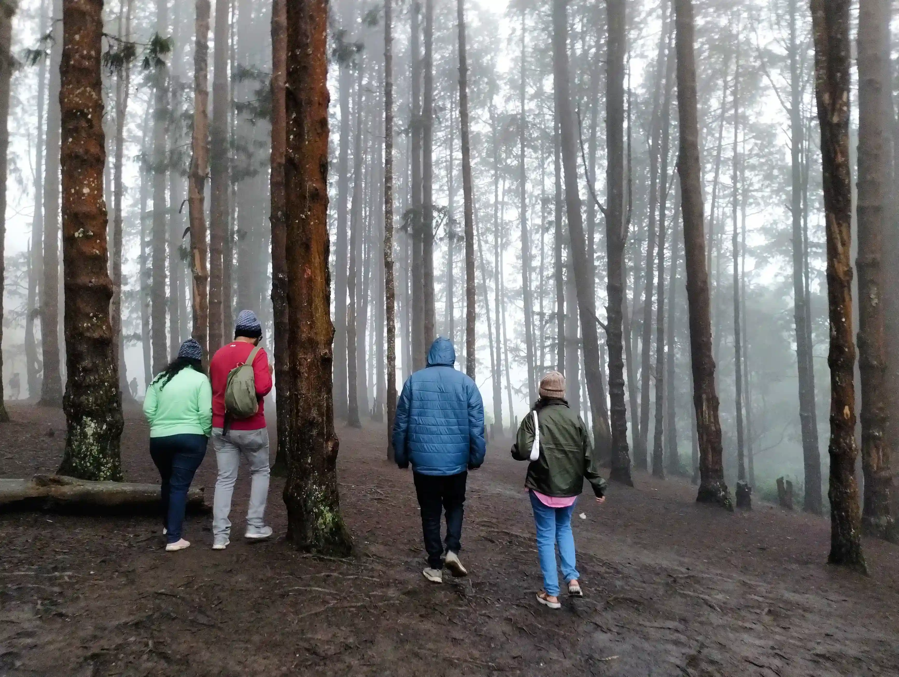 Gallery image 2 for Ooty – Coonoor 2 Days 1 Night Trip from Bangalore