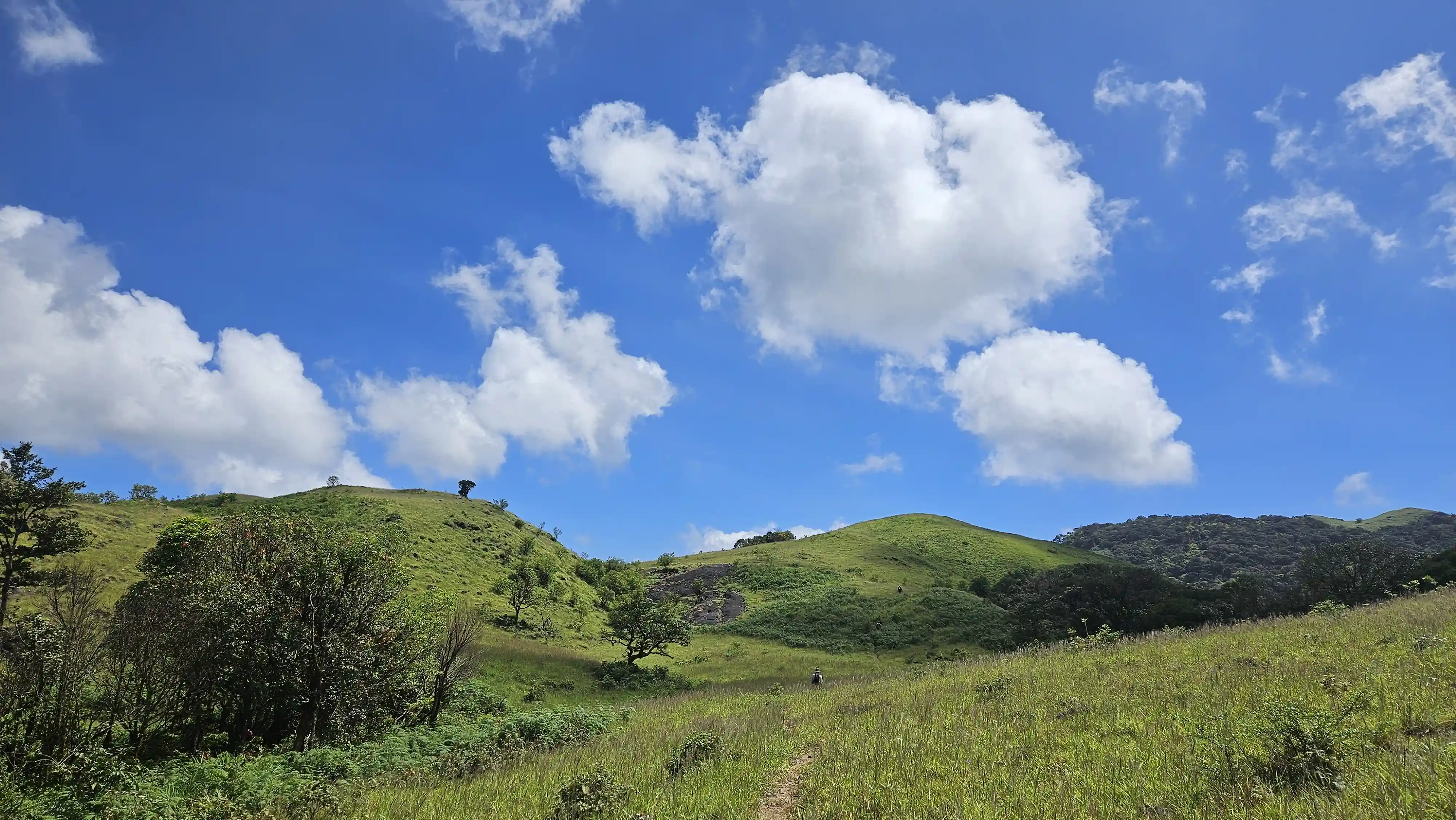 Gallery image 4 for Narsimha Parvatha Circuit Trek (Mallandur - kigga)