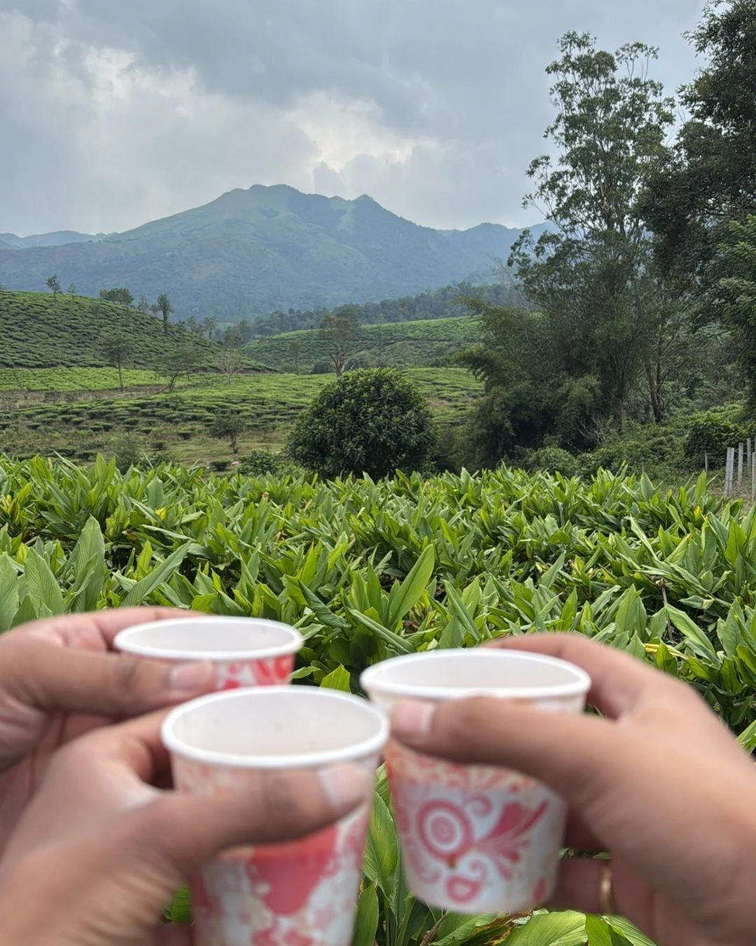 Gallery image 5 for Wayanad 3 Days 2 Nights Trip from Bangalore