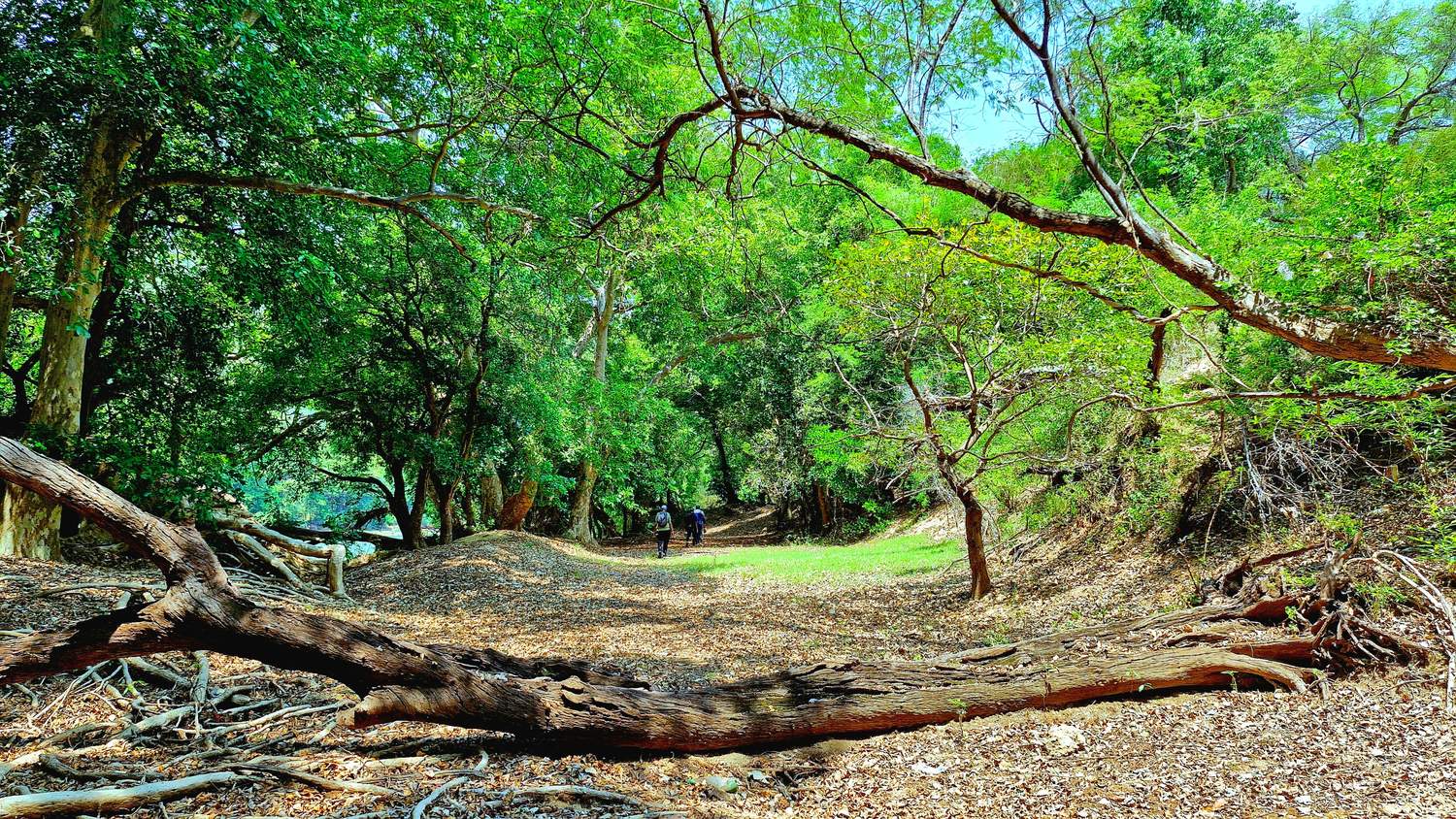Gallery image 5 for Kaveri River Bank Trek โ Biligundlu