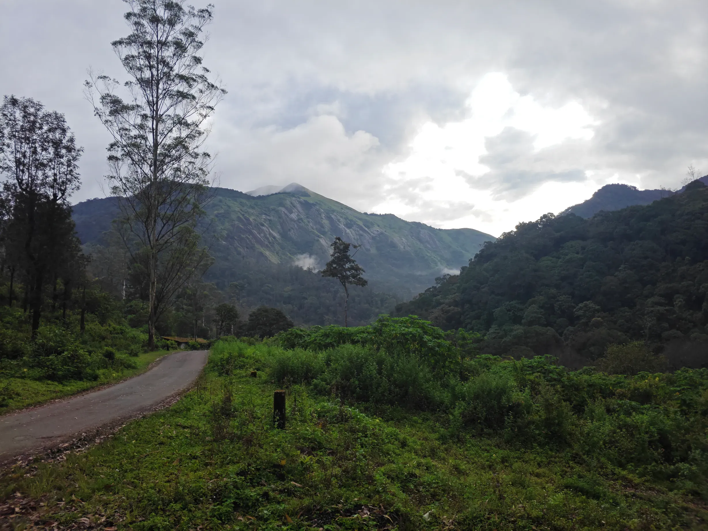 Gallery image 5 for Valparai 2 Days 1 Night Trip from Bangalore