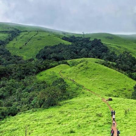 Kodachadri Hidlumane Falls Trek with Jeep Adventure - Image 1
