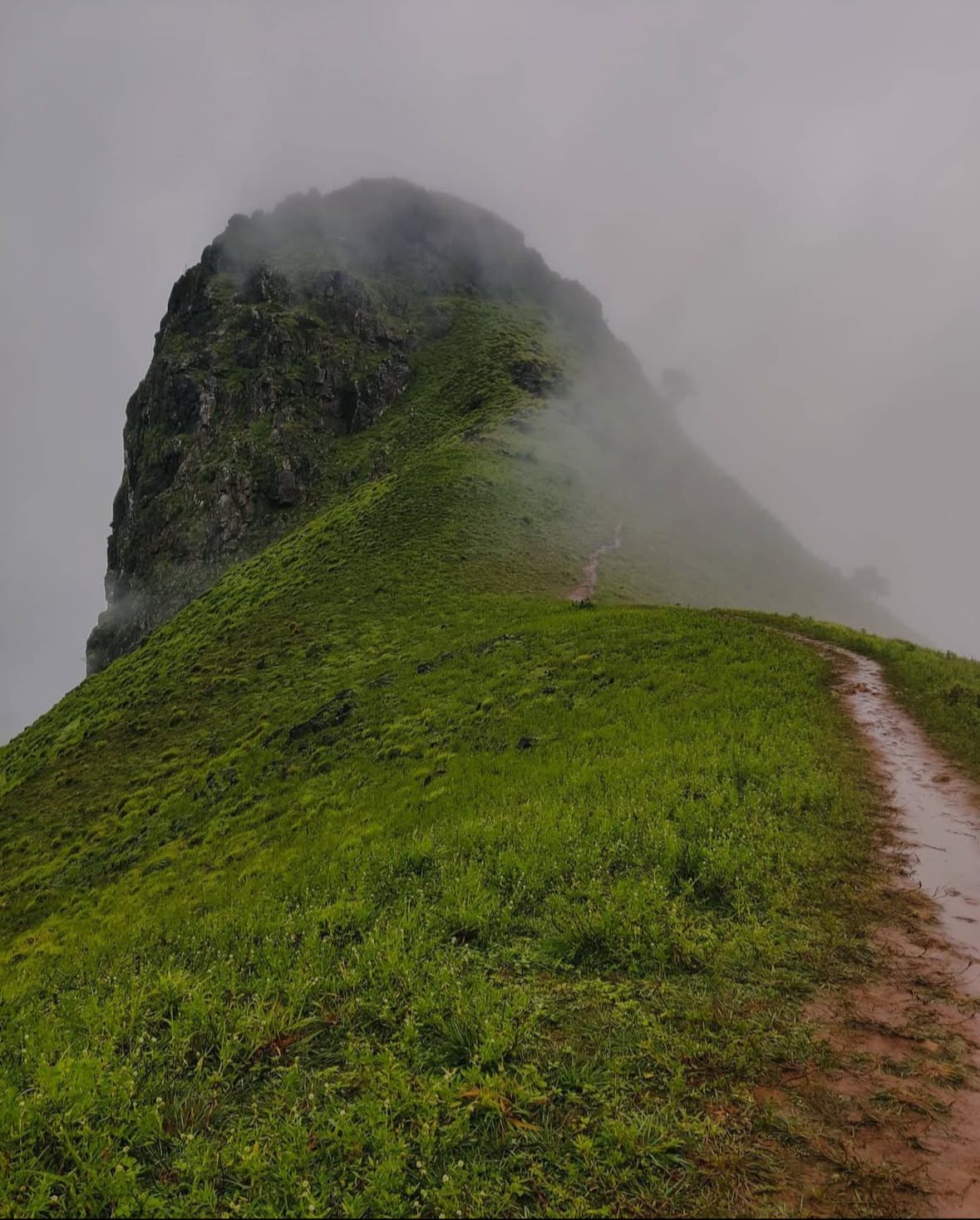 Etthina Bhuja Trek & Sightseeing โ Sakleshpura, Belur & Yagachi Dam from Bangalore - Image 1