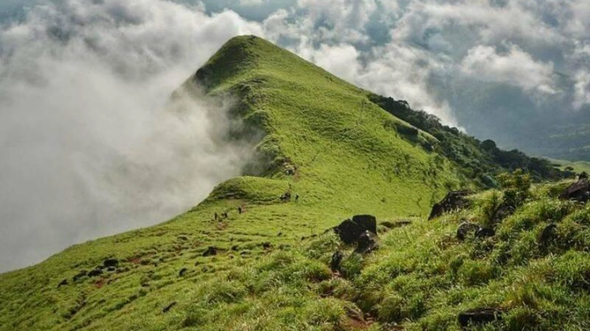 Kumara Parvatha Trek from Somwarpete (Weekend Trek)