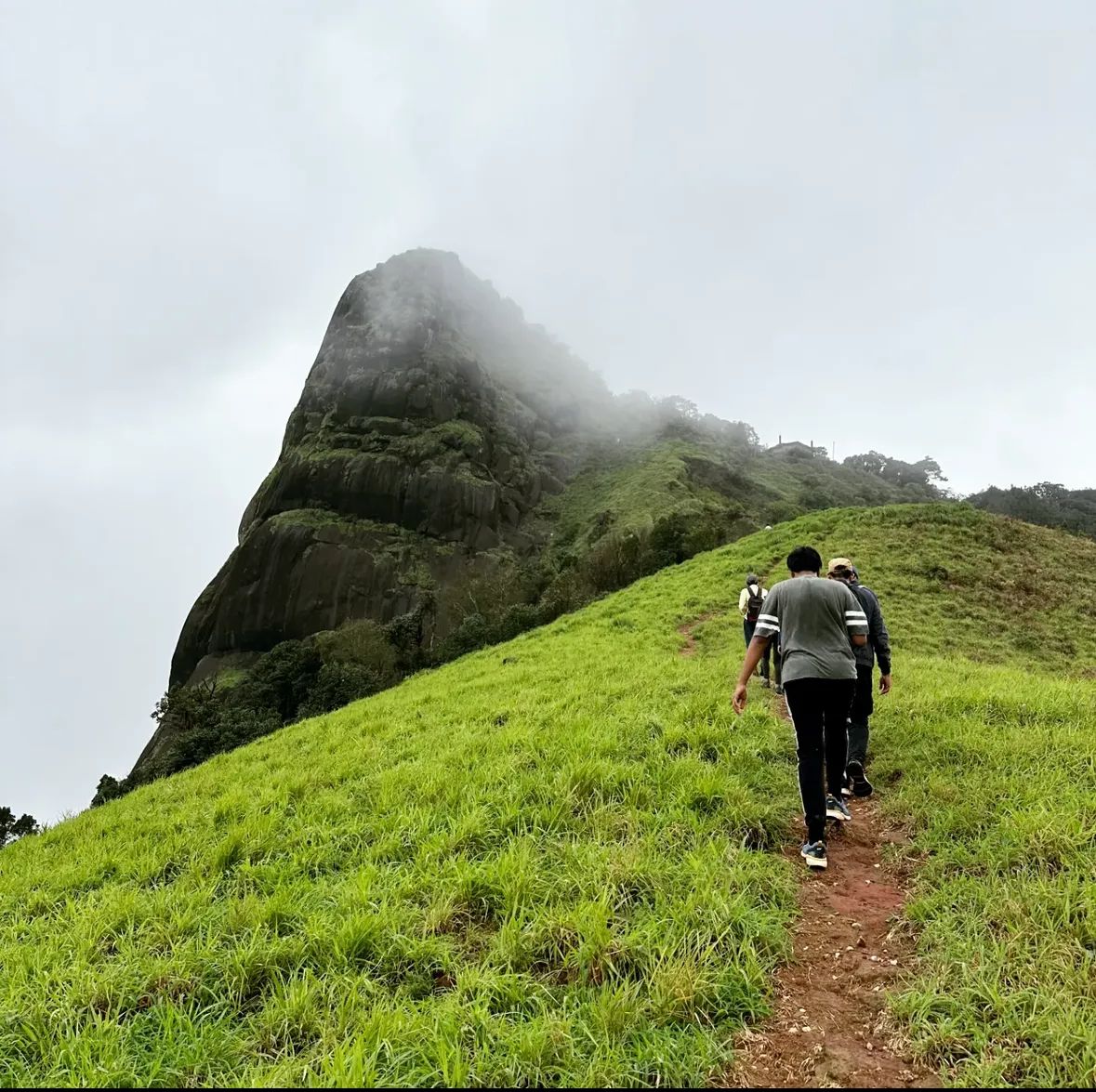 Kurinjal Sunday Trek & Sightseeing - Image 1