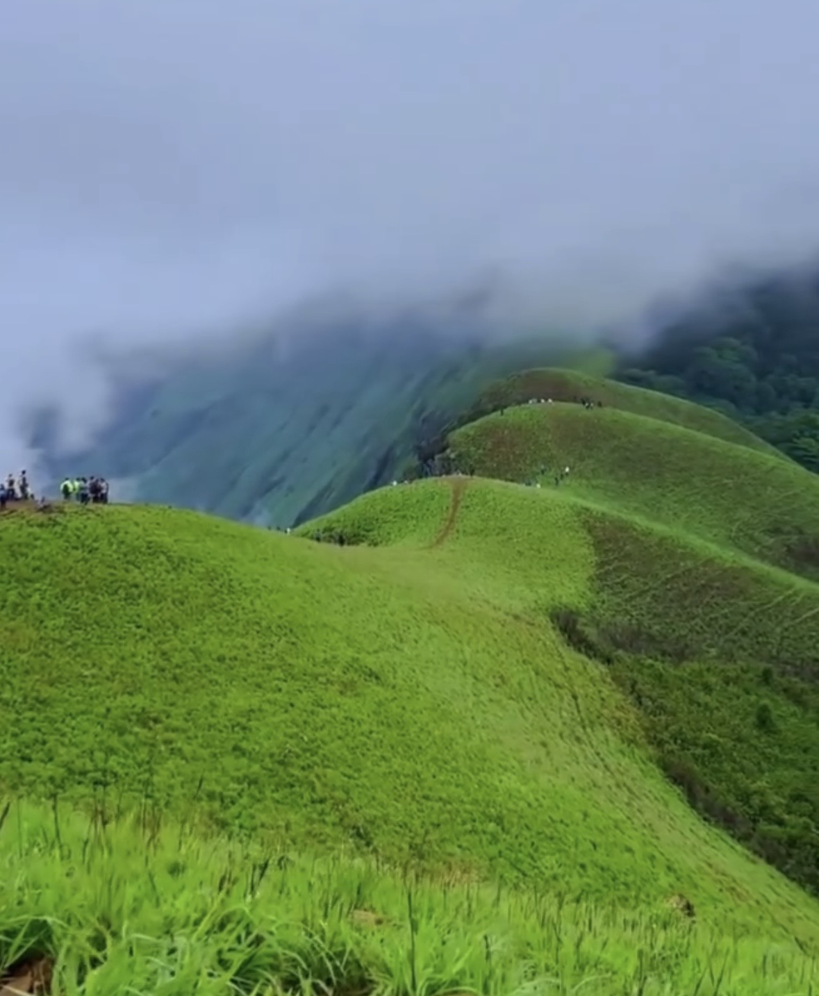 Netravathi Peak Trek & Sightseeing โ Chikmagalur - Image 1