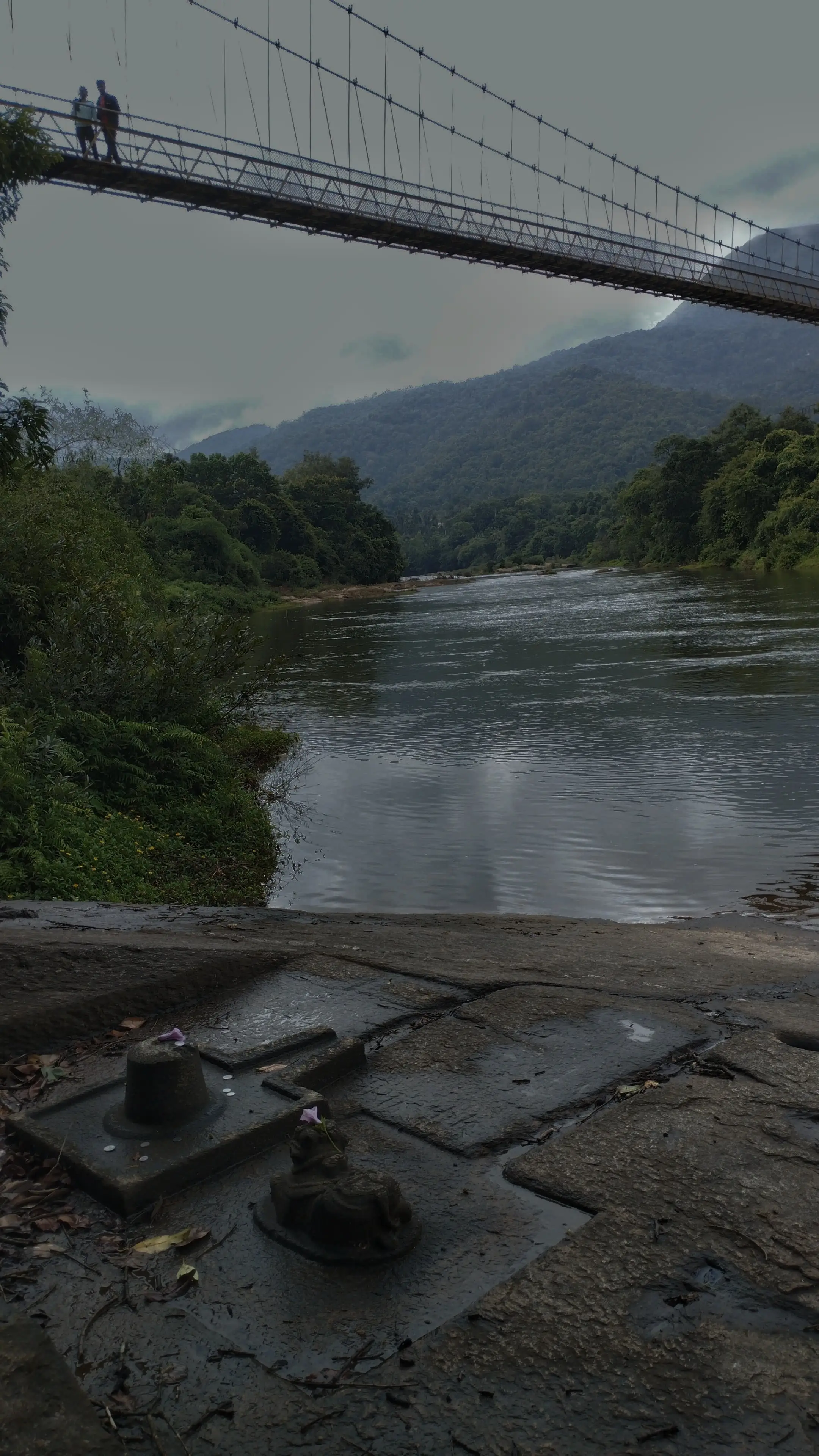 Gallery image 3 for Kurinjal Trek โ 2 Days & 1 Nights Adventure