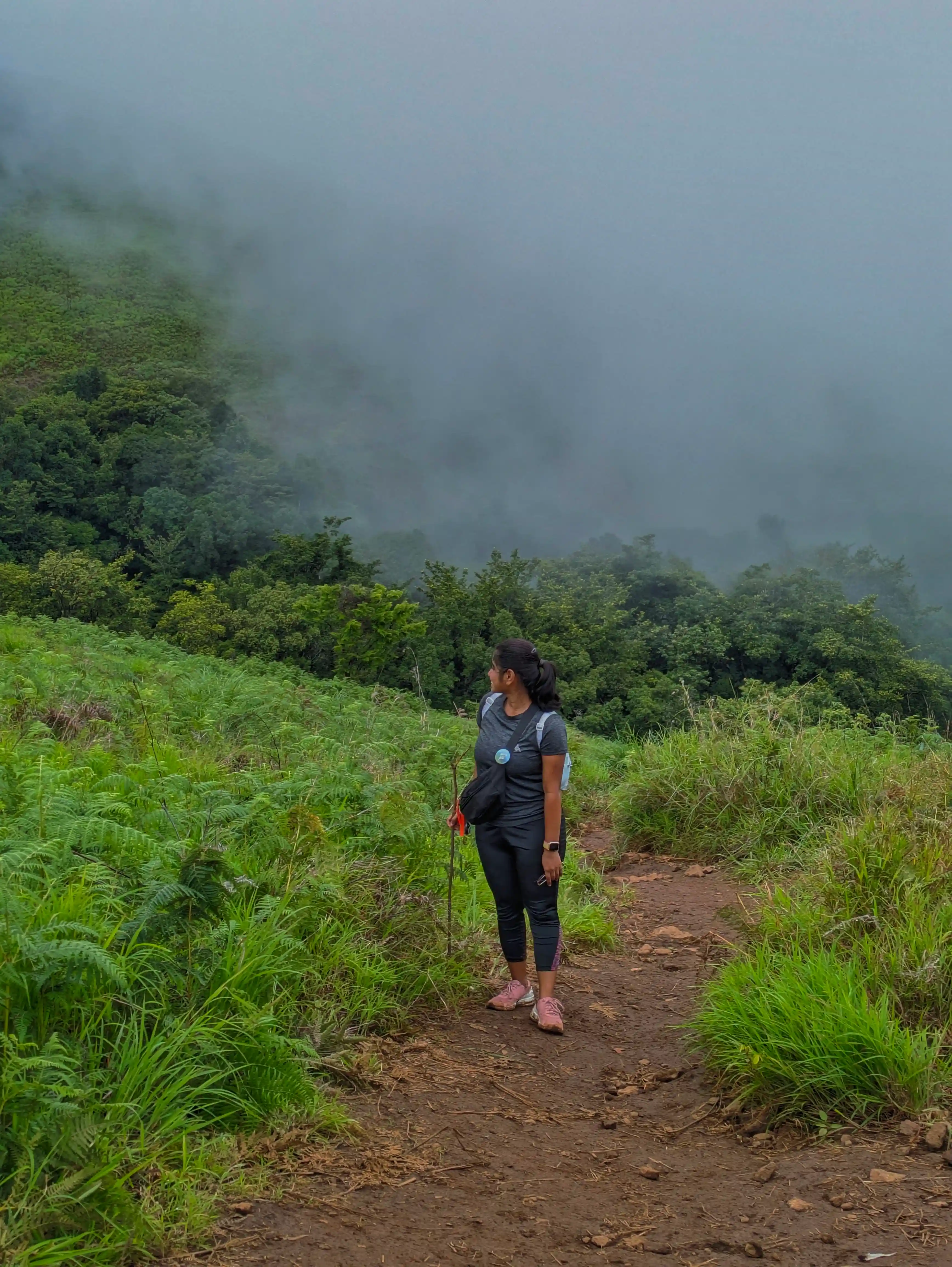 Gallery image 3 for Nethravathi Trek โ 2 Days & 1 Nights Adventure