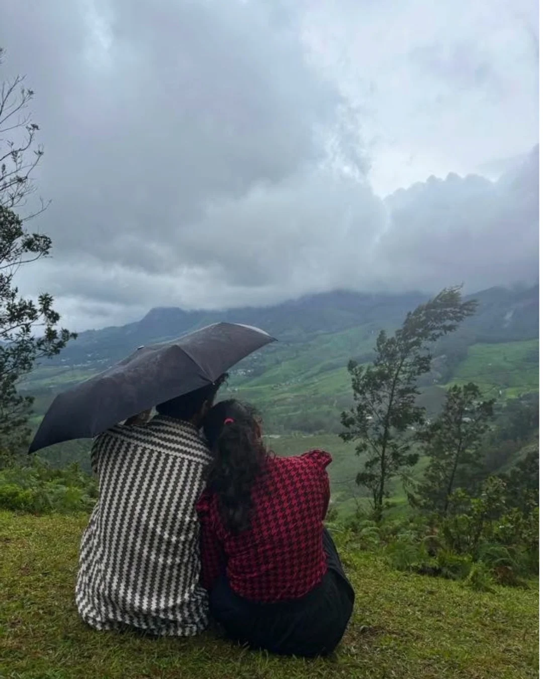 Gallery image 3 for Munnar Trip 2 Days /1 Night