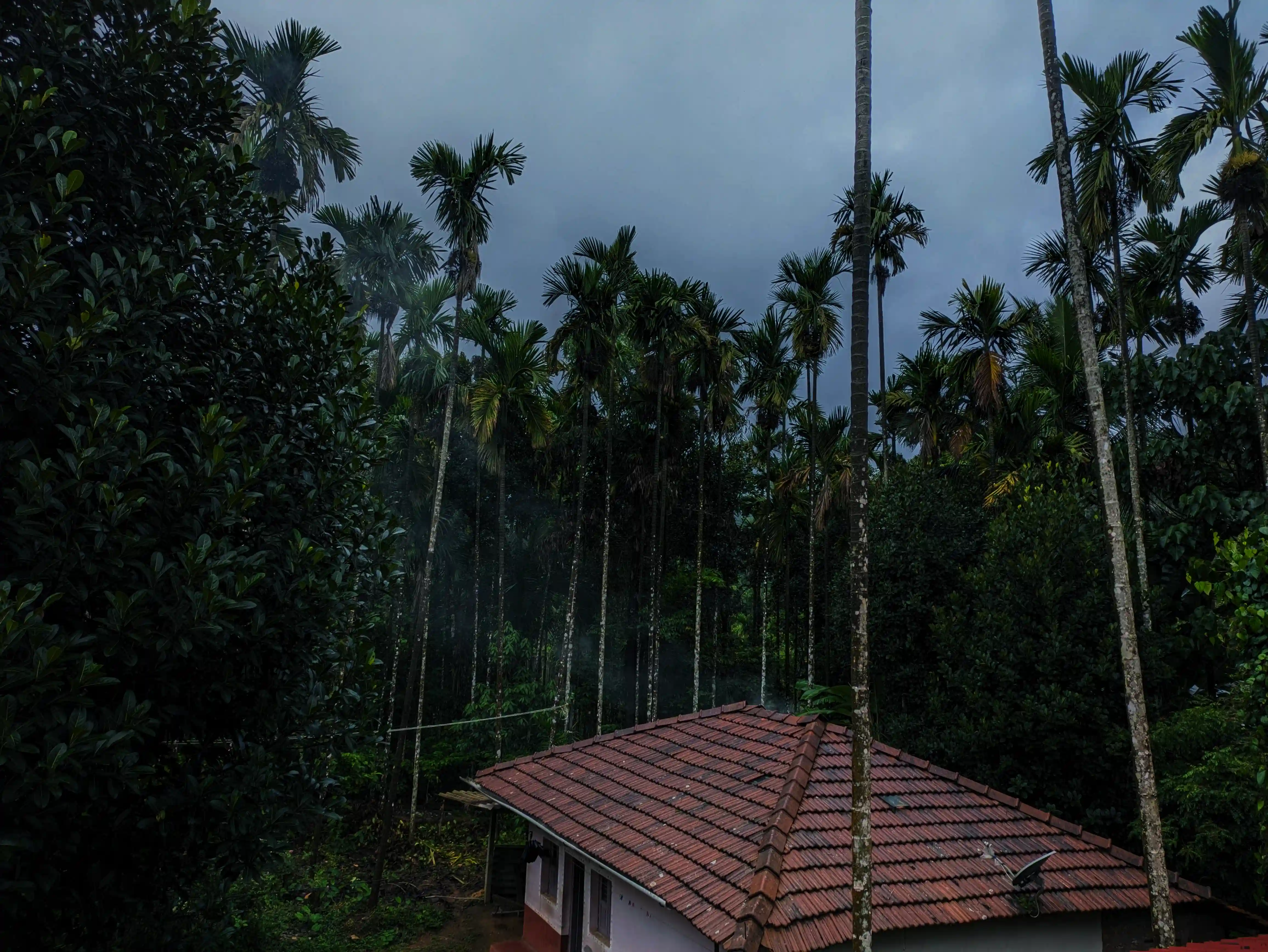 Gallery image 5 for Nethravathi Trek โ 2 Days & 1 Nights Adventure
