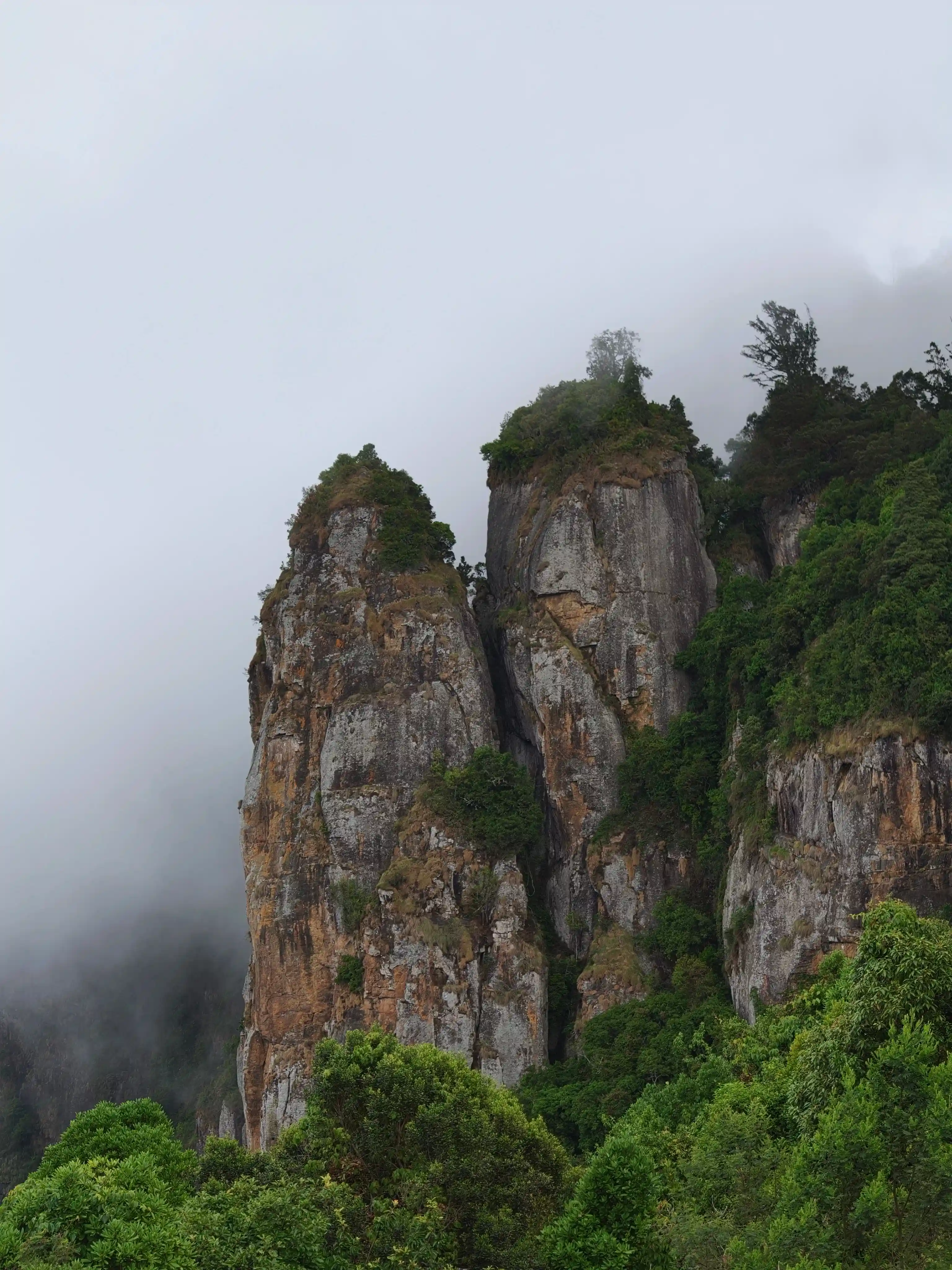Kodaikanal Trip 2 Days /1 Night - Image 1