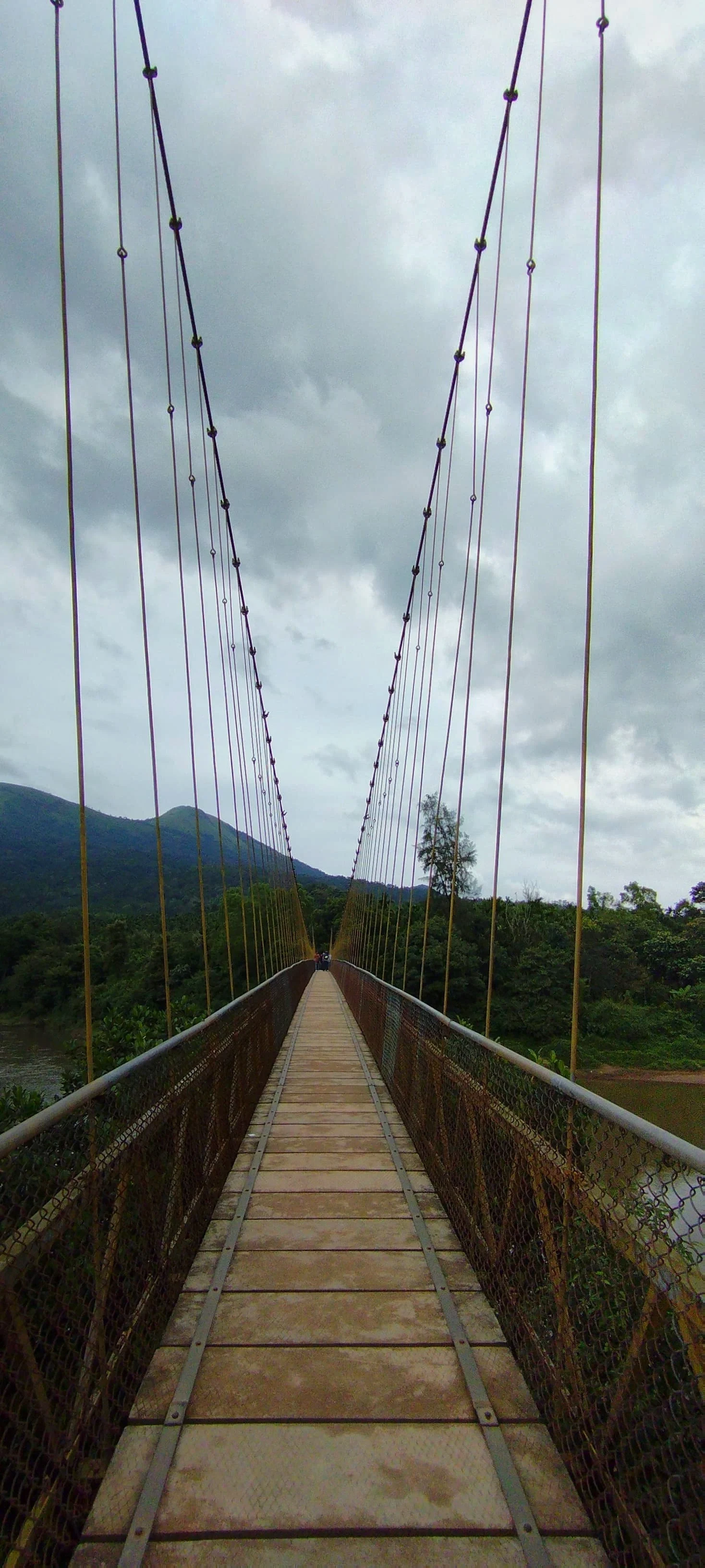 Gallery image 2 for Kurinjal Trek โ 2 Days & 1 Nights Adventure
