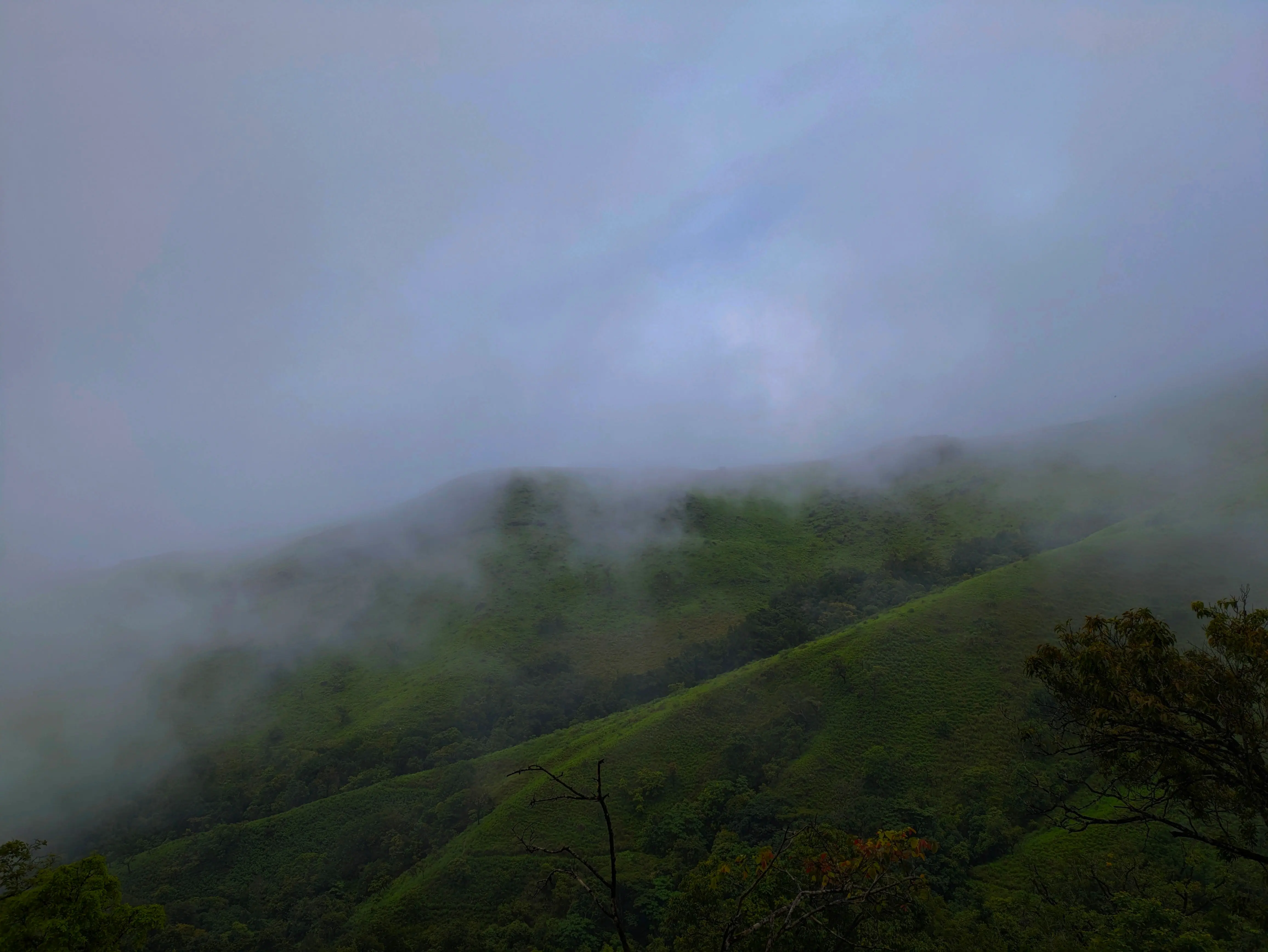 Gallery image 2 for Nethravathi Trek โ 2 Days & 1 Nights Adventure