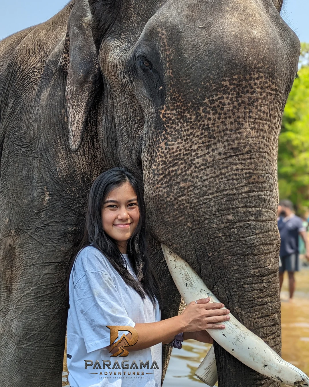 Gallery image 3 for Coorg Sightseeing 2 Days 1 Night Package