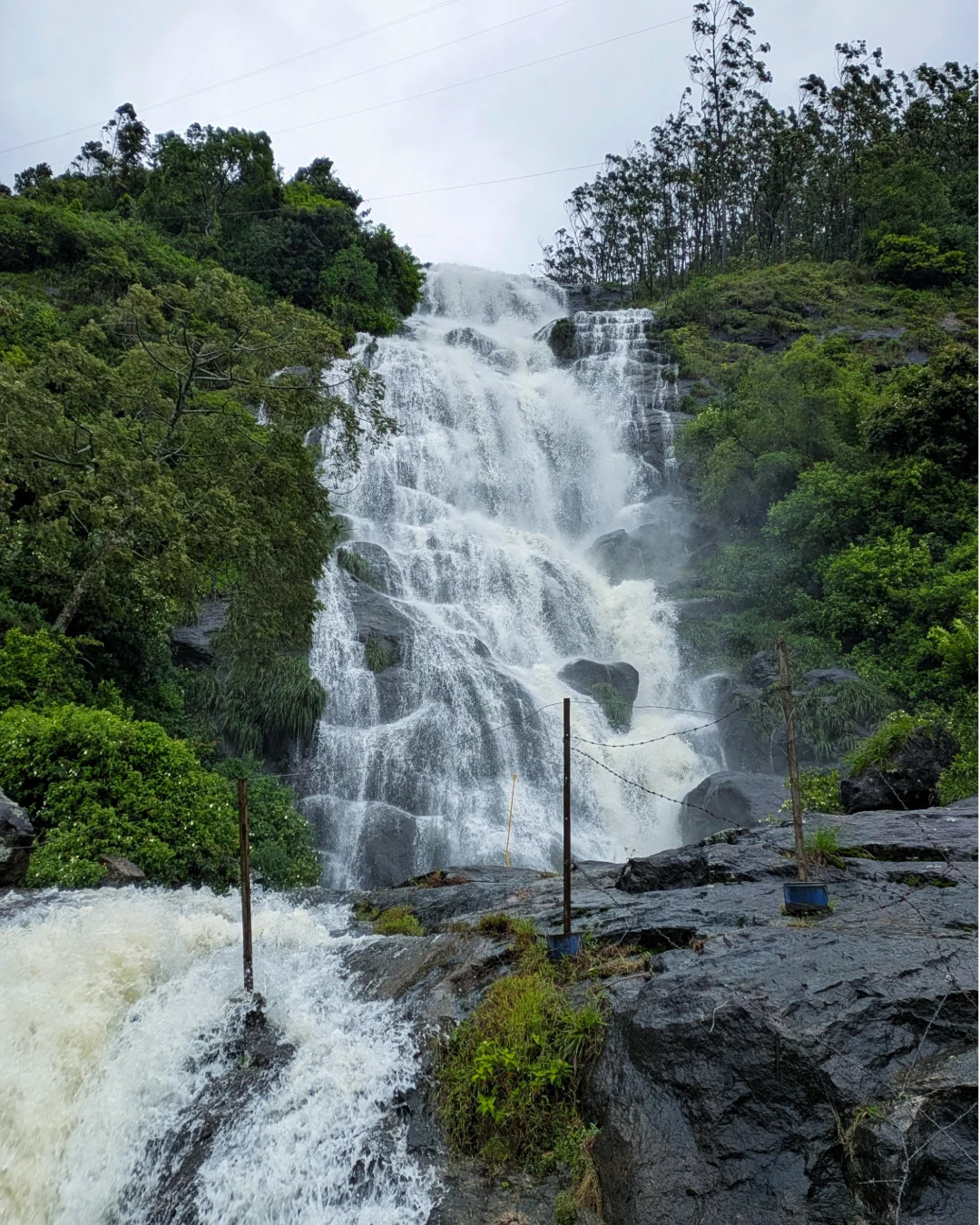 Gallery image 4 for Munnar Trip 2 Days /1 Night